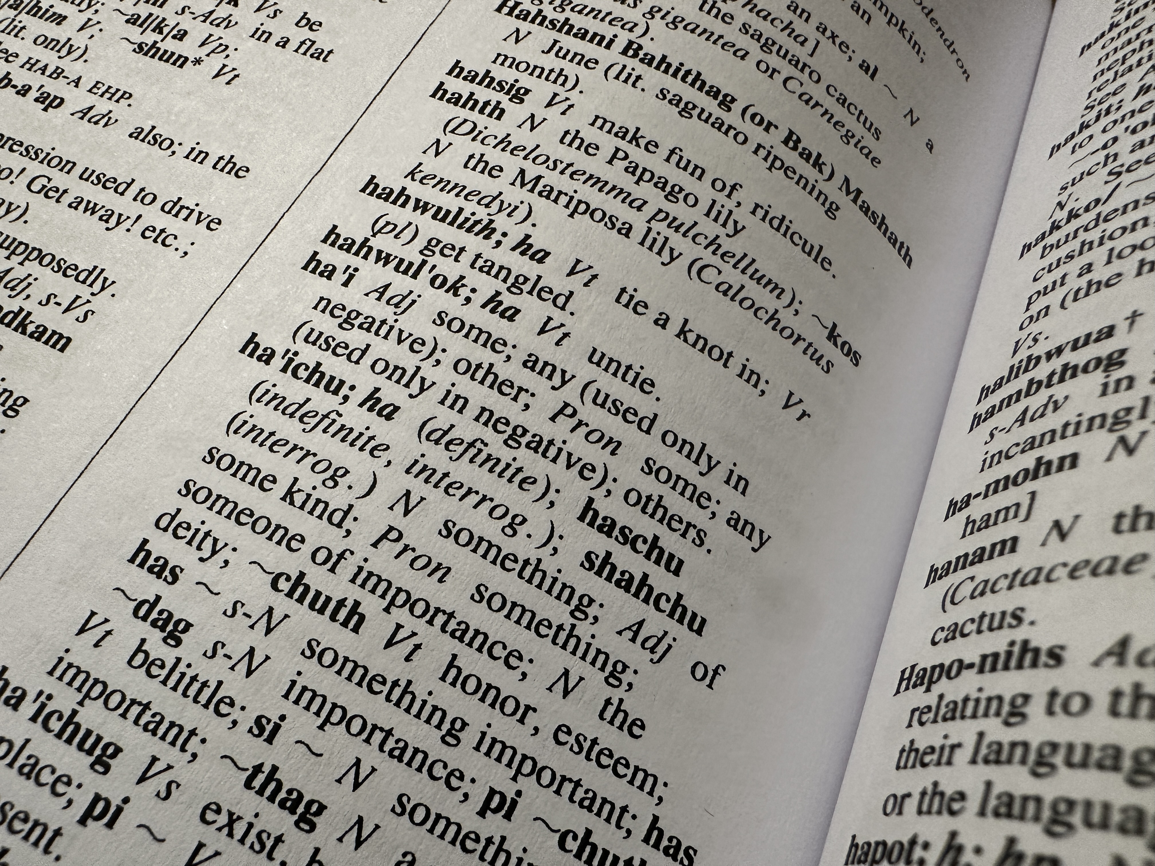 language documentation